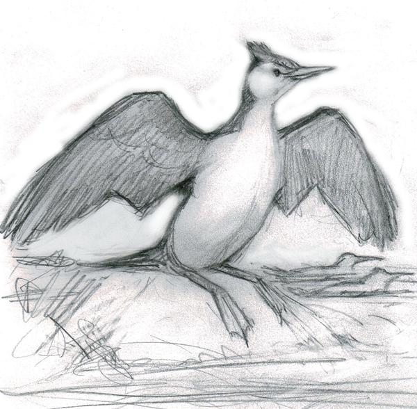 An artist's impression of what Australornis lovei may have looked like 58 million years ago. 